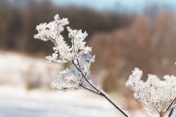 07 10-Feb-13 09-17-58 D300 041